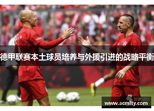 德甲联赛本土球员培养与外援引进的战略平衡